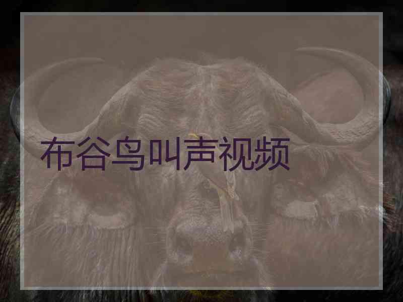 布谷鸟叫声视频