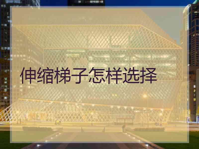 伸缩梯子怎样选择