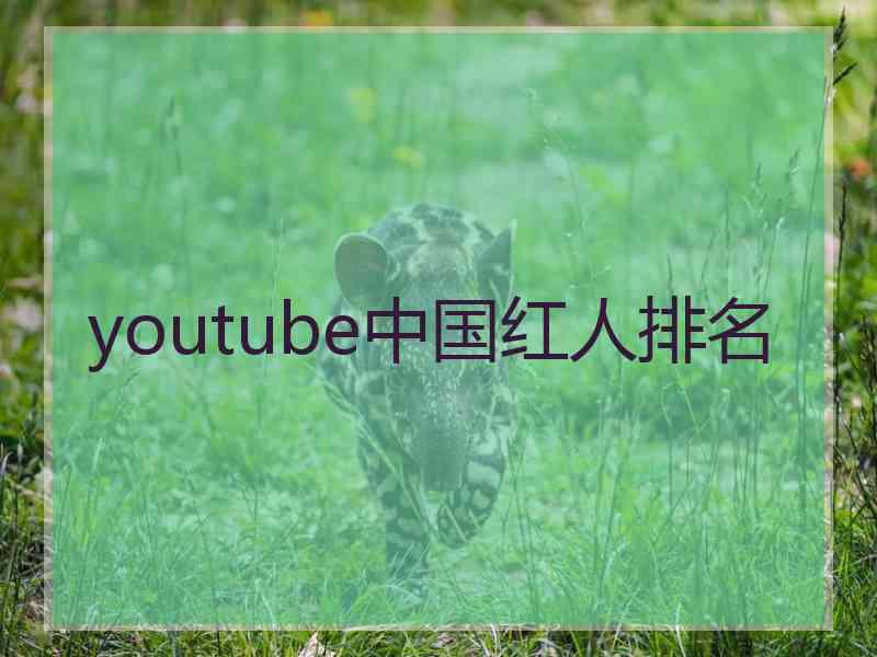 youtube中国红人排名