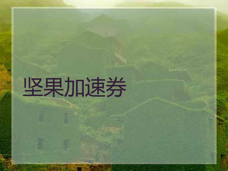 坚果加速券