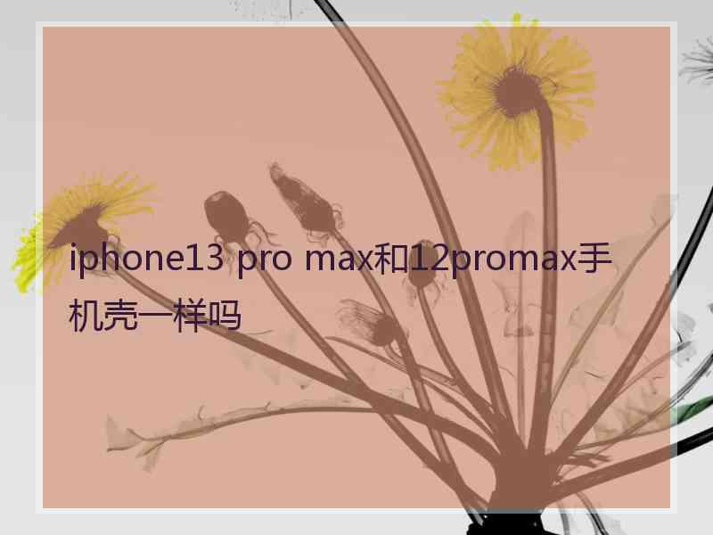 iphone13 pro max和12promax手机壳一样吗