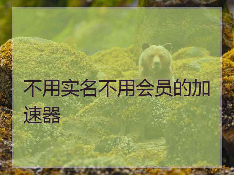 不用实名不用会员的加速器
