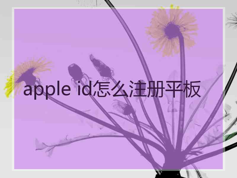 apple id怎么注册平板