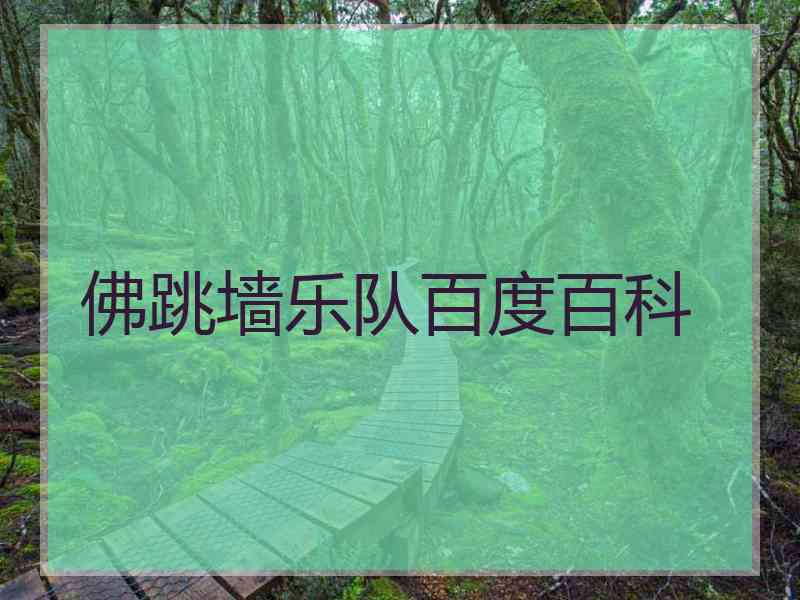佛跳墙乐队百度百科