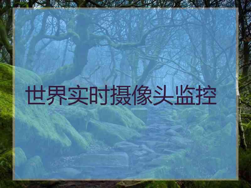 世界实时摄像头监控