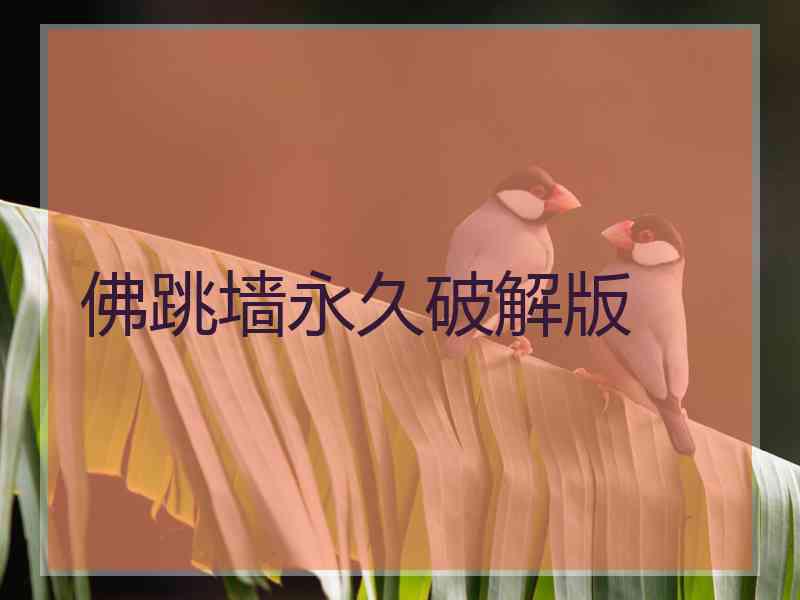 佛跳墙永久破解版