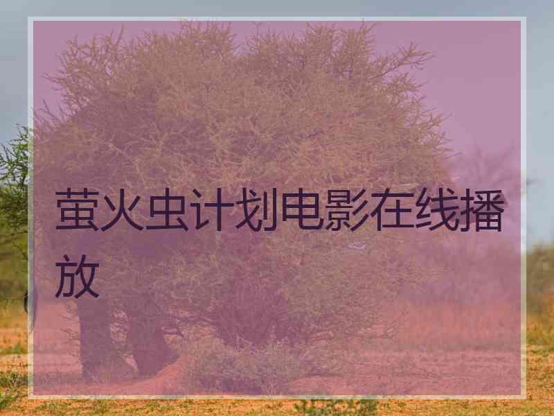 萤火虫计划电影在线播放