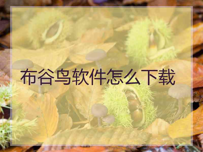 布谷鸟软件怎么下载