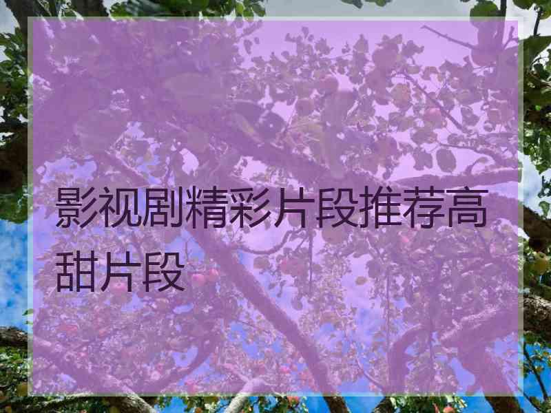 影视剧精彩片段推荐高甜片段