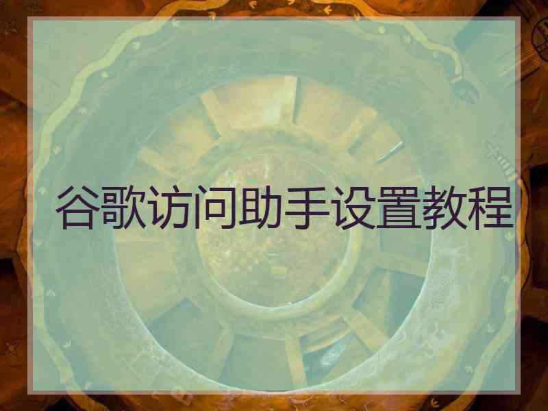 谷歌访问助手设置教程