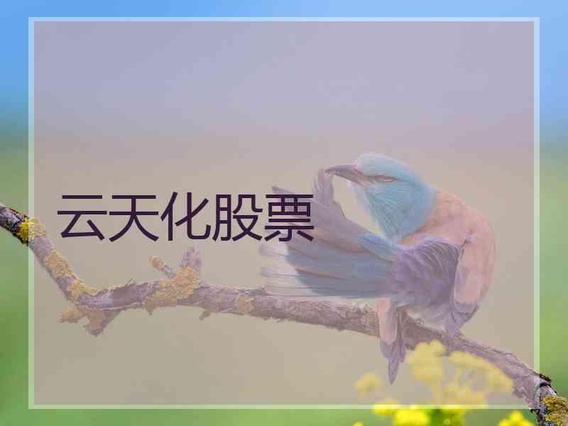 云天化股票
