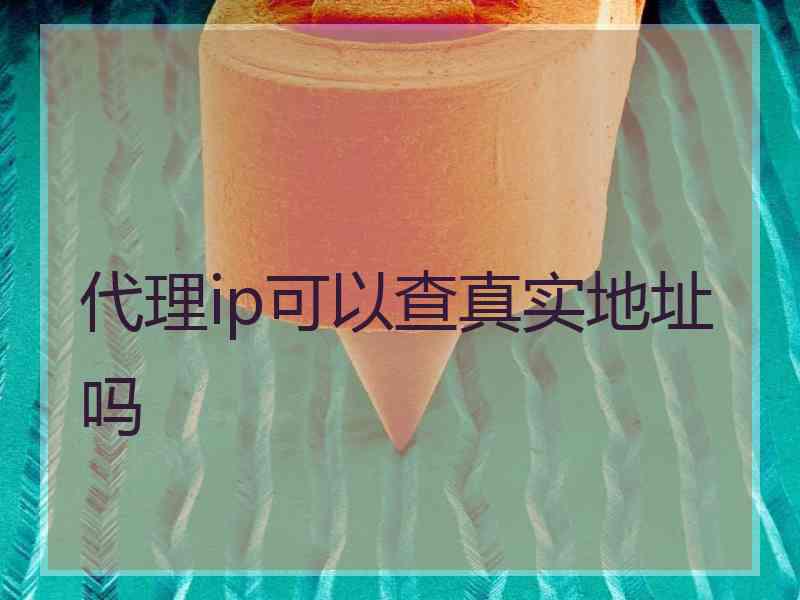 代理ip可以查真实地址吗