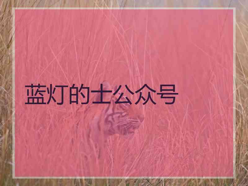 蓝灯的士公众号