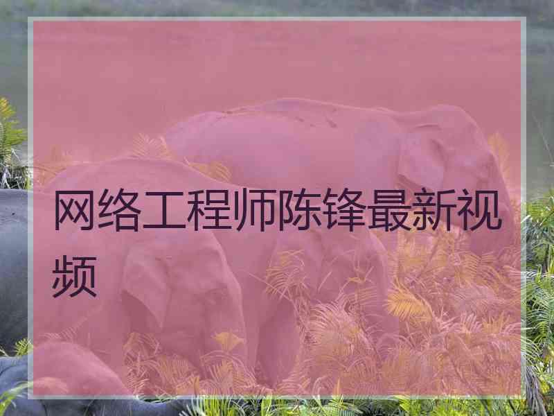 网络工程师陈锋最新视频