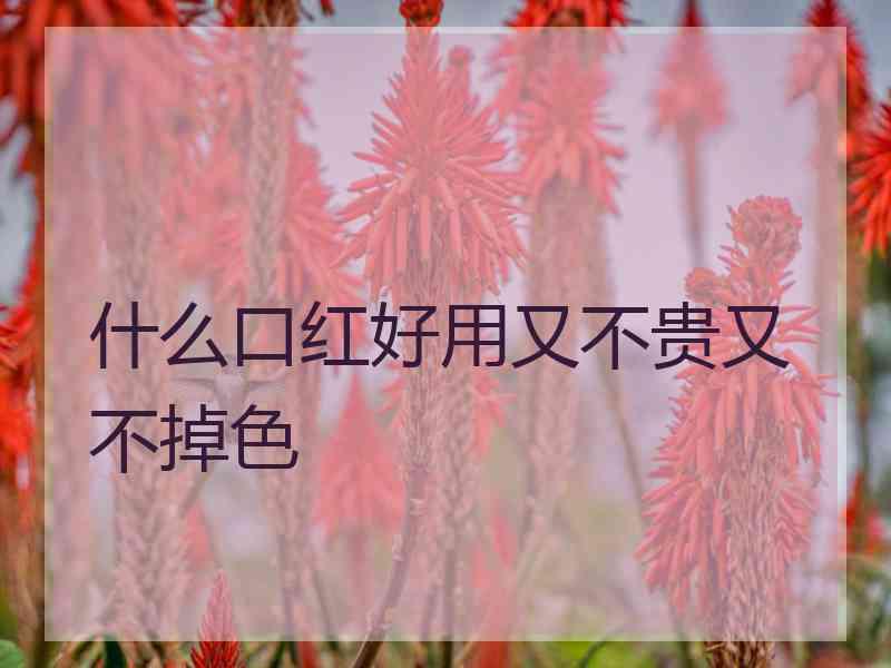什么口红好用又不贵又不掉色