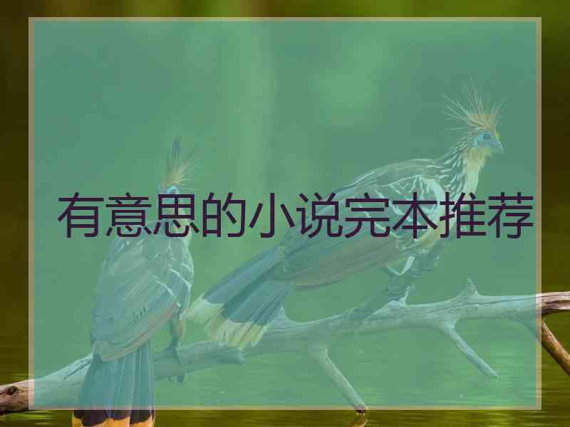 有意思的小说完本推荐