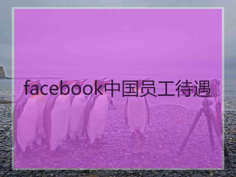 facebook中国员工待遇