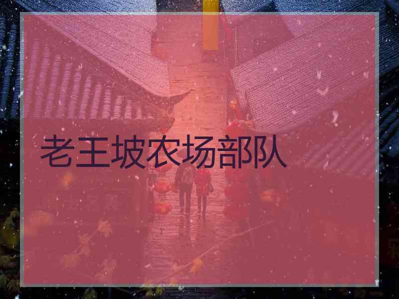 老王坡农场部队