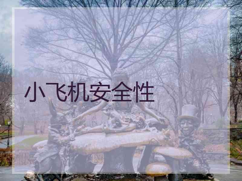 小飞机安全性