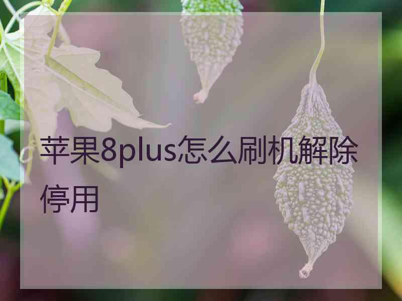 苹果8plus怎么刷机解除停用