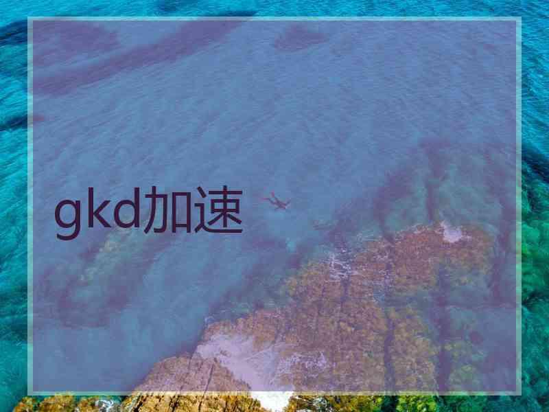 gkd加速