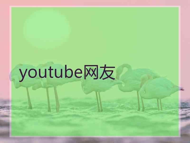 youtube网友