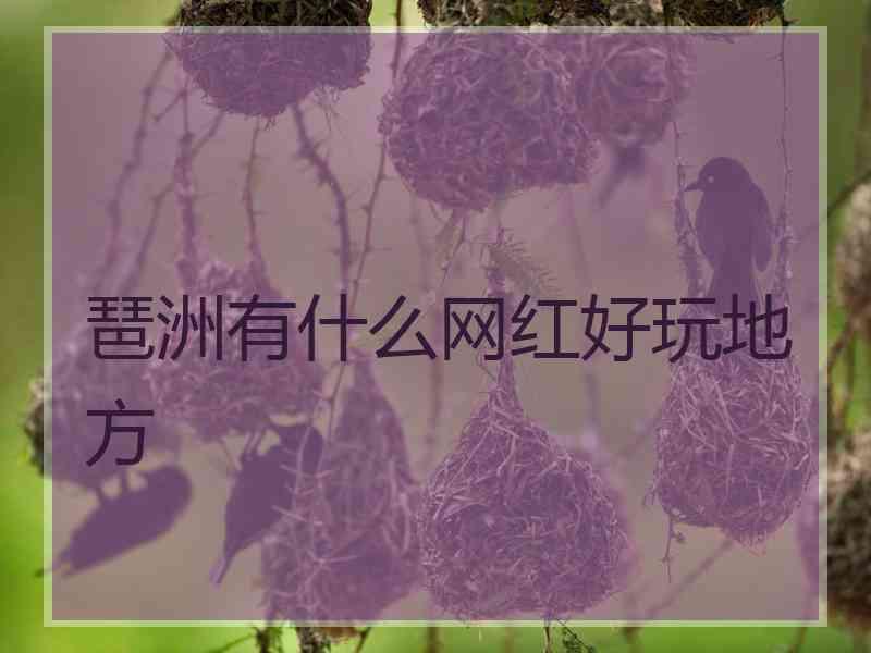 琶洲有什么网红好玩地方