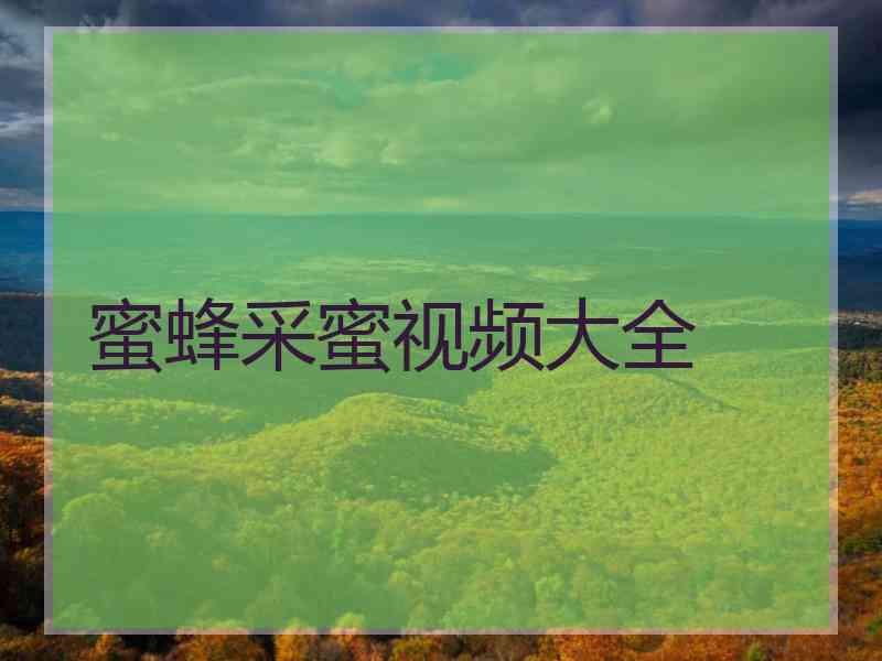 蜜蜂采蜜视频大全