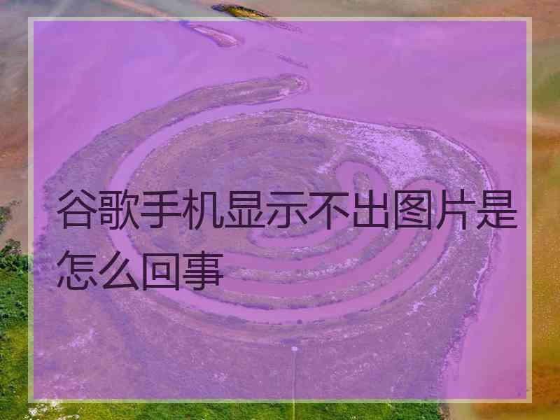 谷歌手机显示不出图片是怎么回事