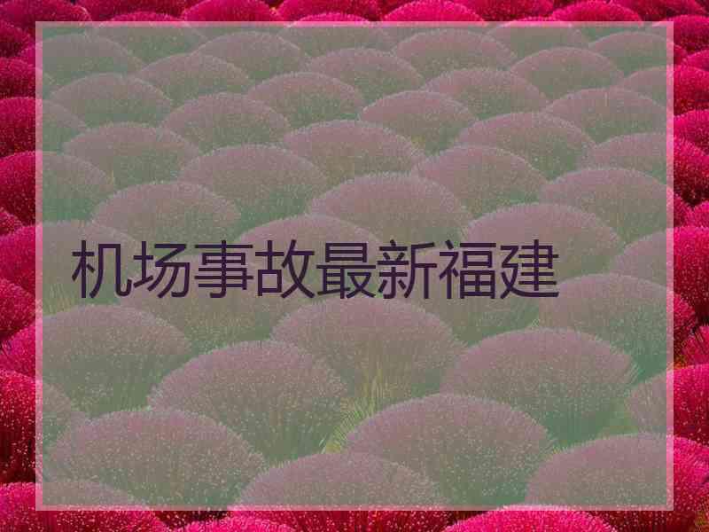 机场事故最新福建
