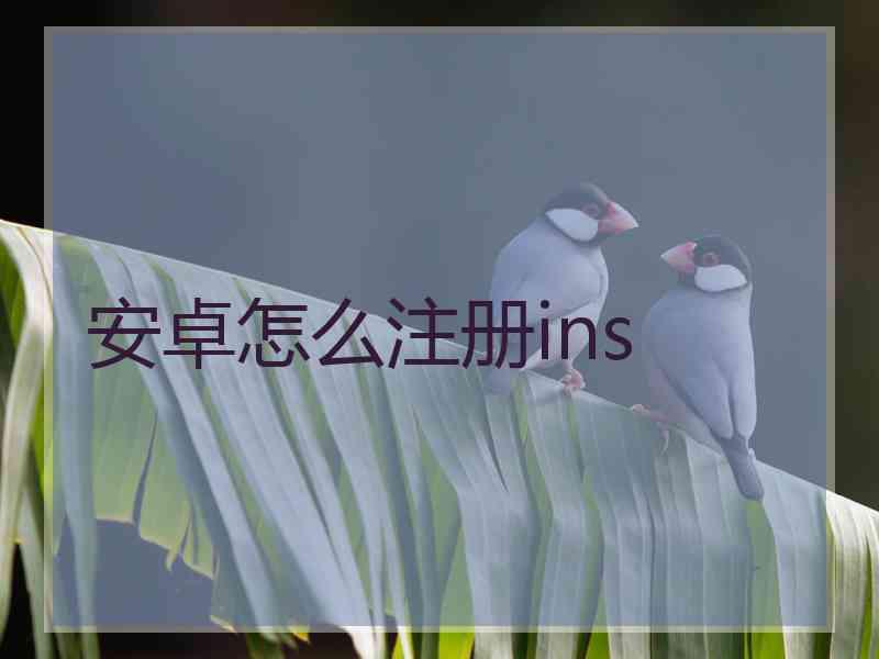 安卓怎么注册ins