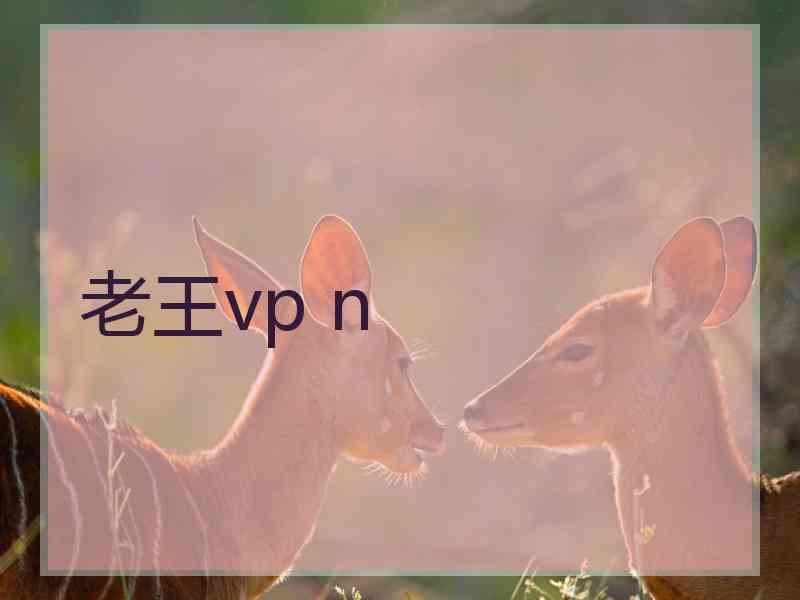 老王vp n