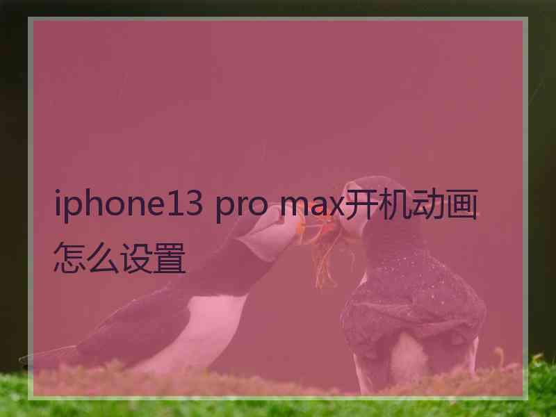 iphone13 pro max开机动画怎么设置
