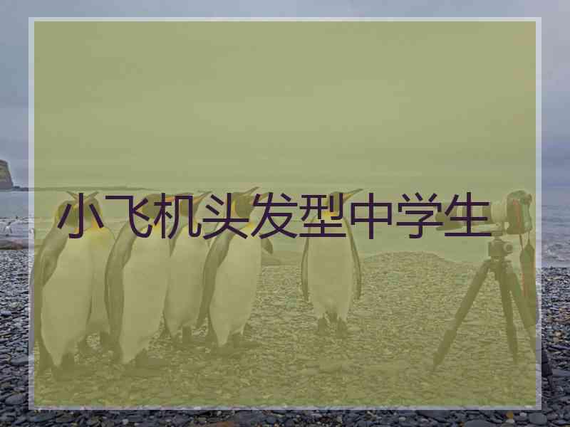 小飞机头发型中学生