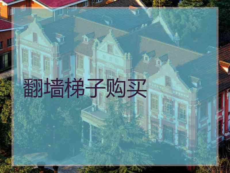 翻墙梯子购买