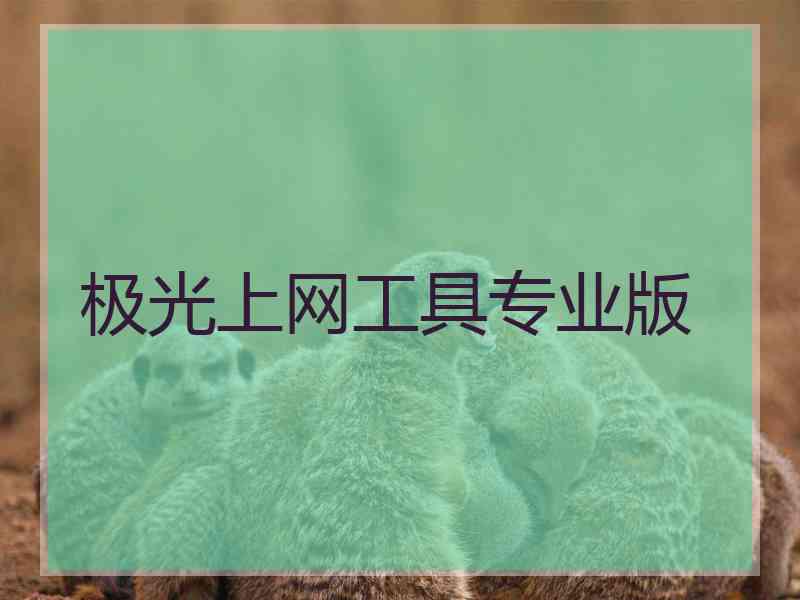 极光上网工具专业版