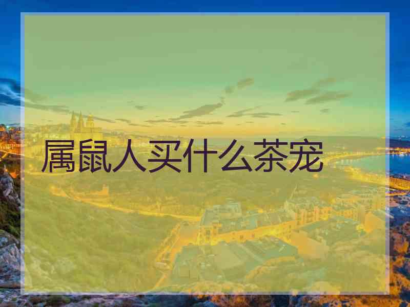 属鼠人买什么茶宠