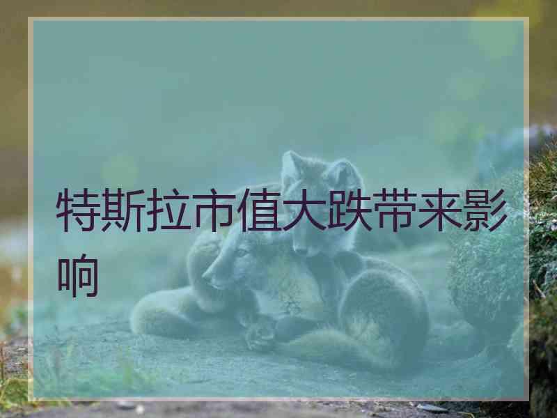 特斯拉市值大跌带来影响