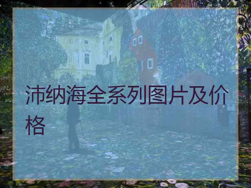 沛纳海全系列图片及价格