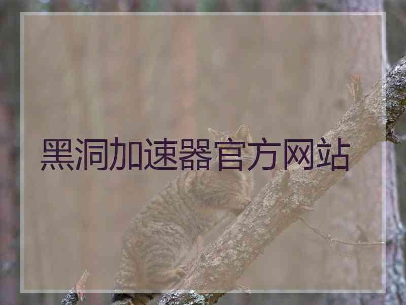 黑洞加速器官方网站