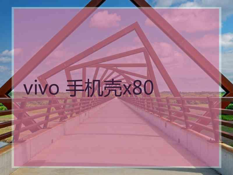 vivo 手机壳x80