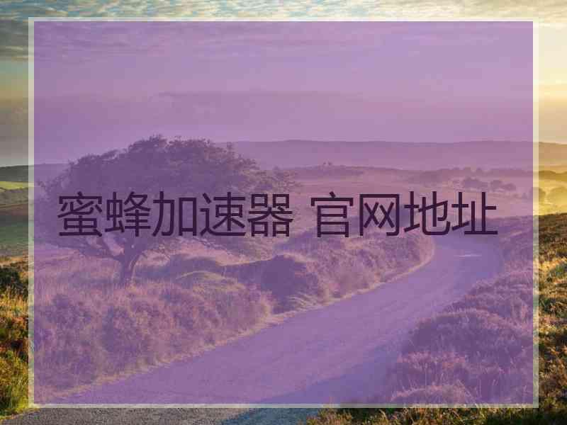 蜜蜂加速器 官网地址