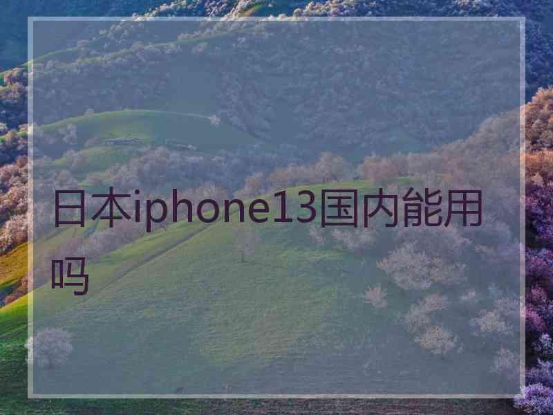 日本iphone13国内能用吗