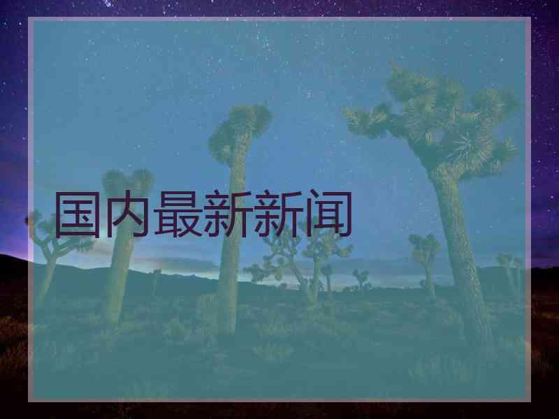 国内最新新闻