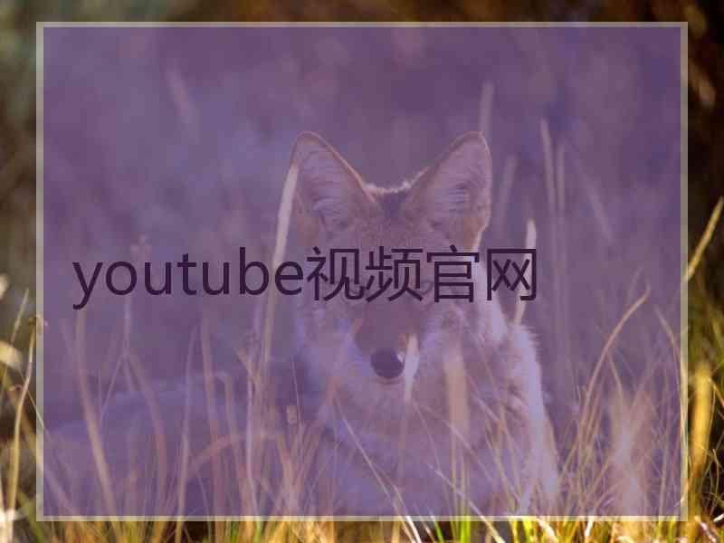 youtube视频官网