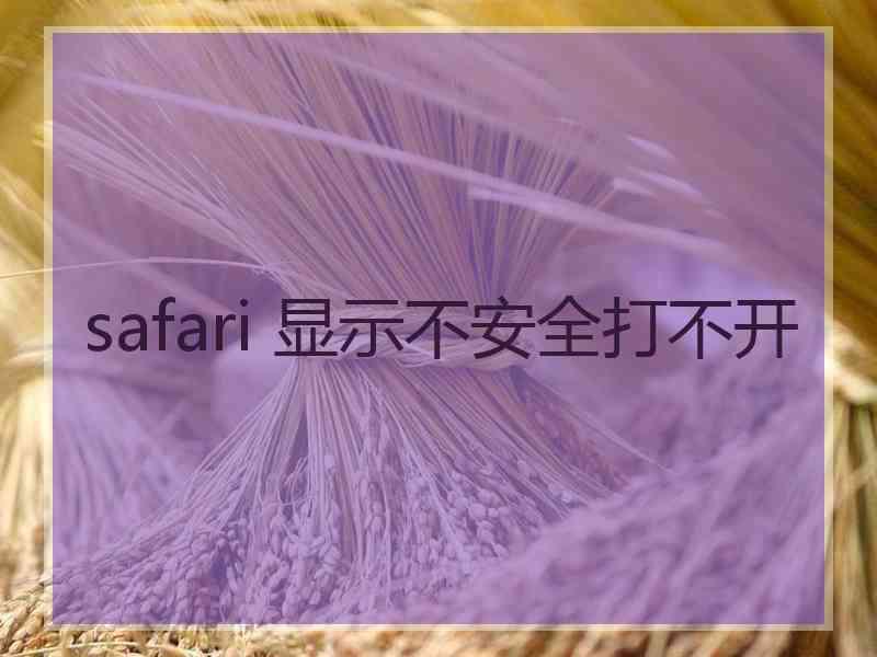safari 显示不安全打不开
