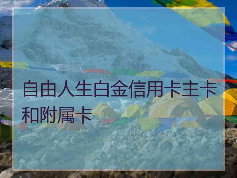 自由人生白金信用卡主卡和附属卡
