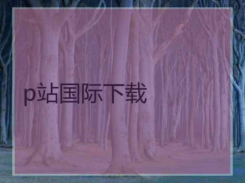 p站国际下载