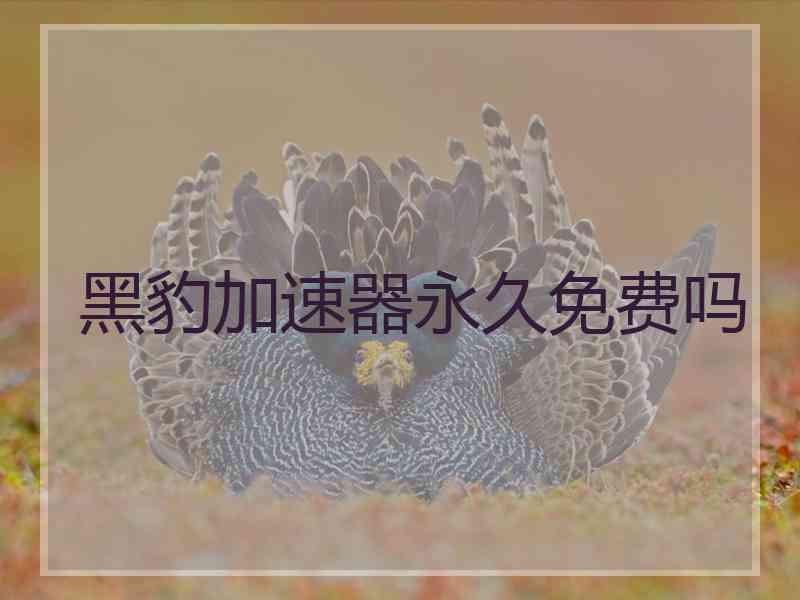 黑豹加速器永久免费吗