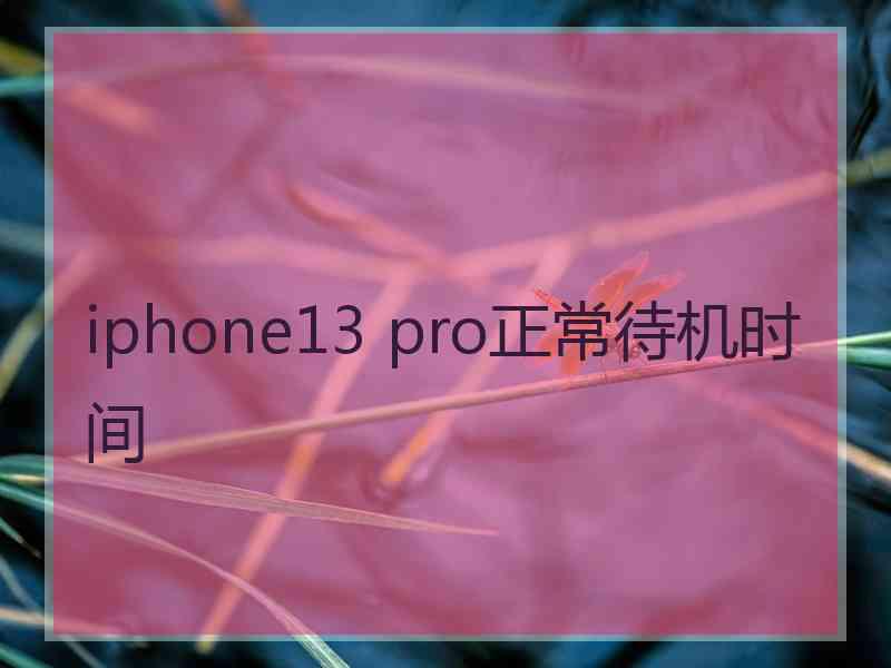 iphone13 pro正常待机时间